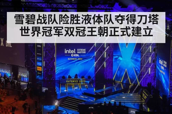 雪碧战队险胜液体队夺得刀塔世界冠军双冠王朝正式建立